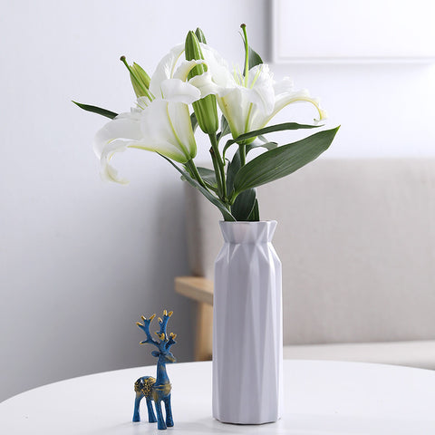 Ornements de décoration intérieure Vase hydroponique losange