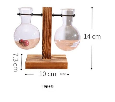 Vase décoratif en verre transparent pour plantes hydroponiques créatives