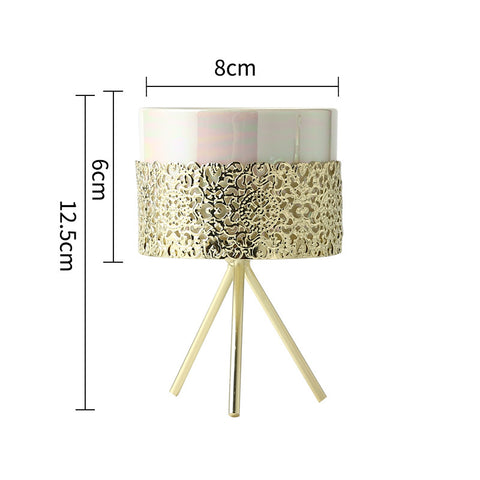 Pot hydroponique en céramique avec cadre en fer nordique simple pour plante verte