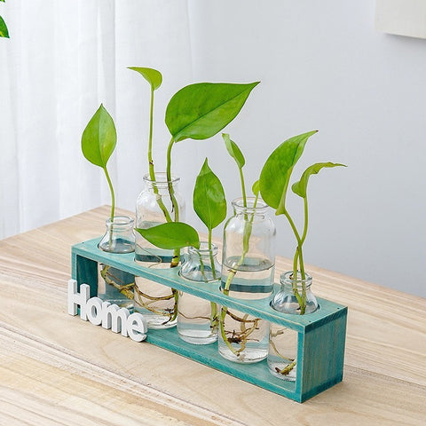 Vase en verre simple et frais pour hydroponie