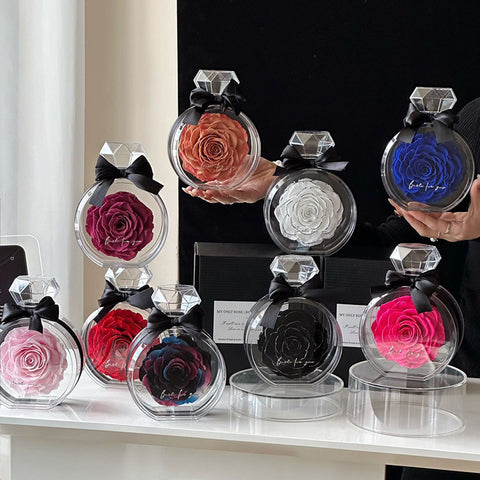 Ornements naturels de fleurs éternelles Housse transparente Boîte cadeau de roses séchées pour Noël Nouvel An Saint-Valentin Décoration intérieure