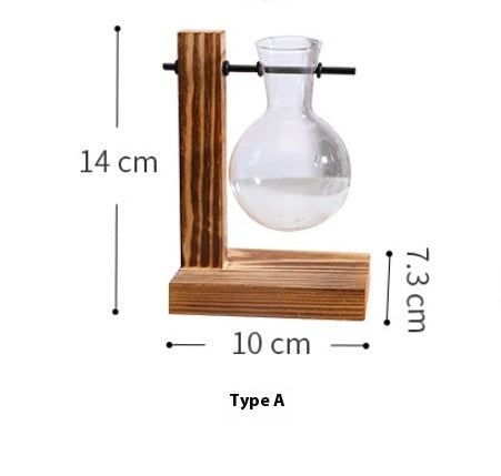 Vase décoratif en verre transparent pour plantes hydroponiques créatives