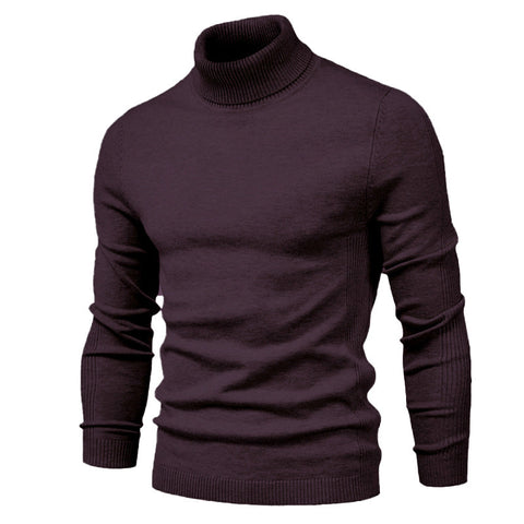 Pull à col roulé uni et ajusté pour homme, hauts décontractés d'hiver