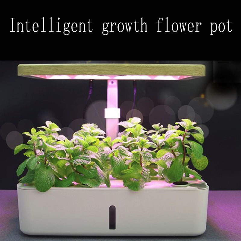 Automated hydroponic vegetable pot