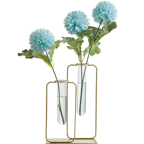Vase hydroponique transparent en verre pour aneth vert