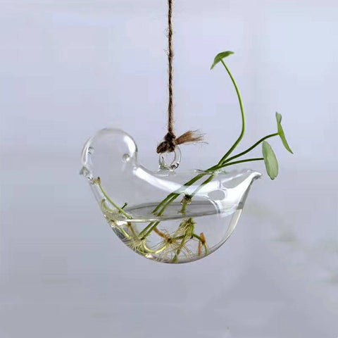 Aneth vert hydroponique et herbe à monnaie chinoise, verrerie mignonne avec oiseau