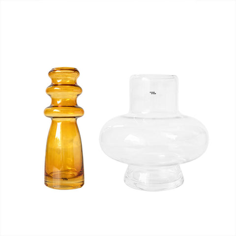 Vase en Verre Transparent avec Fleurs Séchées et Décoration Hydroponique