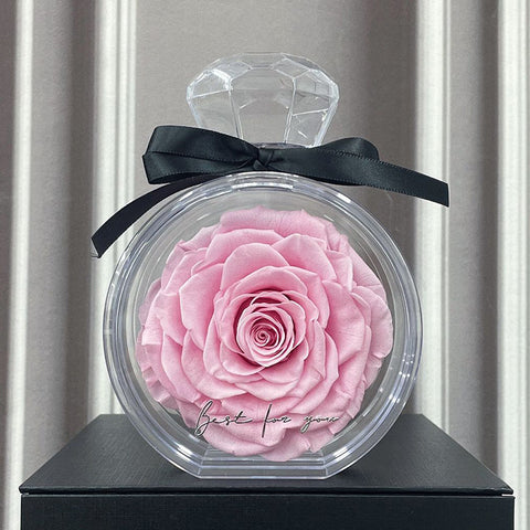 Ornements naturels de fleurs éternelles Housse transparente Boîte cadeau de roses séchées pour Noël Nouvel An Saint-Valentin Décoration intérieure