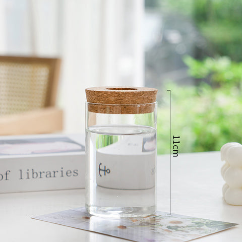 Vase en verre pour plantes hydroponiques, transparent, simple et créatif