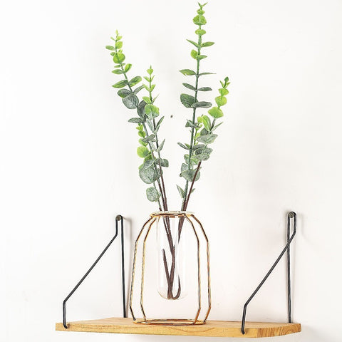 Glass Hydroponic Wire Metal Geometric Wrought Iron Vase