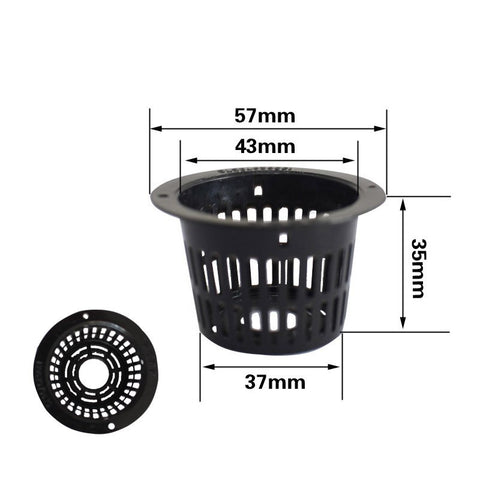 Fixateur de racines hydroponiques sans sol