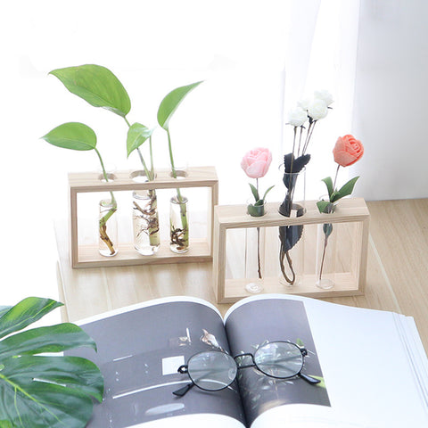 Petite bûche hydroponique plante vase en verre décoration