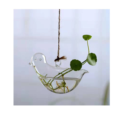 Aneth vert hydroponique et herbe à monnaie chinoise, verrerie mignonne avec oiseau