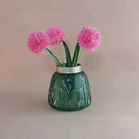 Vase en Verre Transparent Phnom Penh Fleurs Séchées Ornements Hydroponiques