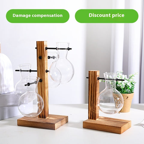 Vase décoratif en verre transparent pour plantes hydroponiques créatives