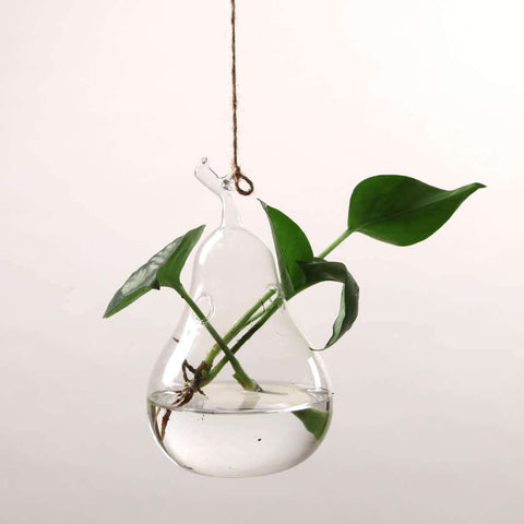 Vase suspendu en verre transparent simple, petite bouteille suspendue hydroponique