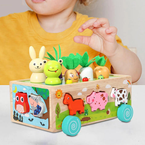 Montessori Toys Developmental Toy Carrot Harvest Game Wooden Toy Preschool Learning for Holiday Gift Ages 3 4 5 Years Old Kids - Fashionner