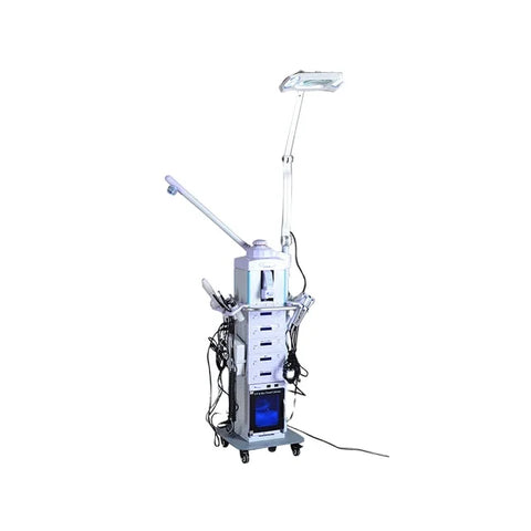 Buy Sales Professional Skin Care Multifunction Facial Cleaning Beauty Machine 19 In 1 online at Fashionner.