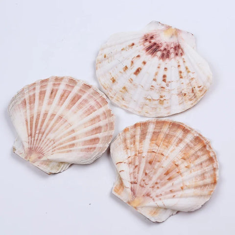 Hf3e296df0ab6437bb87be07eae120d9fA.jpg