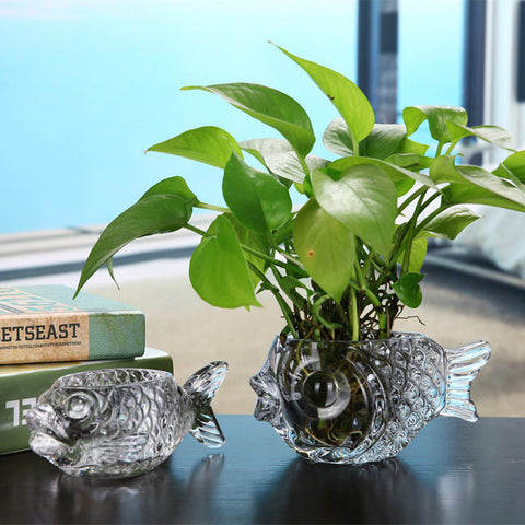 Décoration de table aneth vert aquatique hydroponie créative