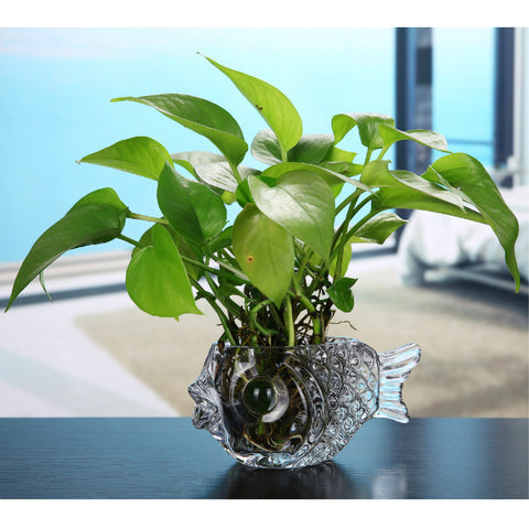 Décoration de table aneth vert aquatique hydroponie créative