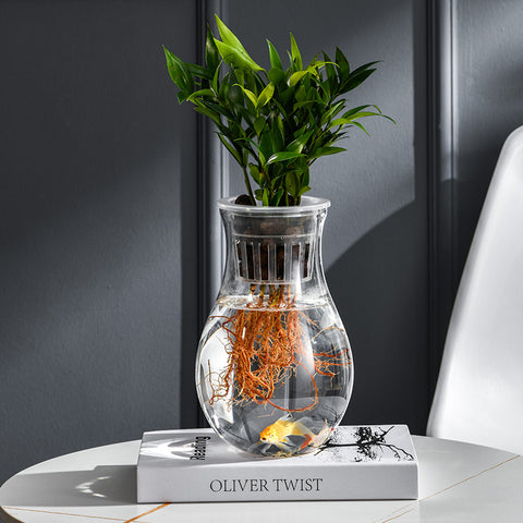 Vase transparent en plastique pour hydroponie