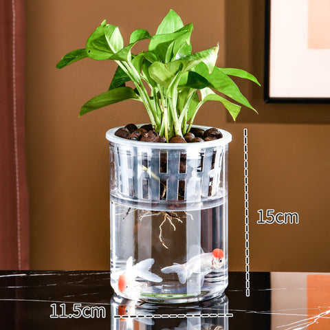 Vase transparent en plastique pour hydroponie