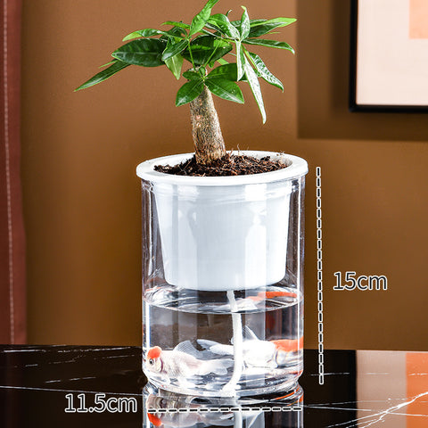Vase transparent en plastique pour hydroponie