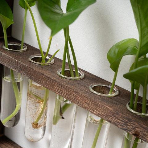 Vase hydroponique en verre avec cadre en bois à suspendre – Décoration créative rétro pour chambre et salon