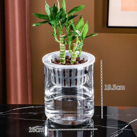 Vase transparent en plastique pour hydroponie