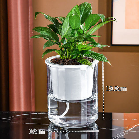 Vase transparent en plastique pour hydroponie