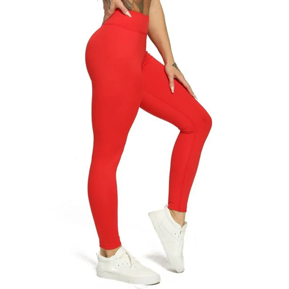 44111504703645|44111504736413|44111504769181|44111504801949|44111504834717|44111504867485|44111504900253|44111504933021|44111504965789|44111504998557|44111505031325|44111505064093