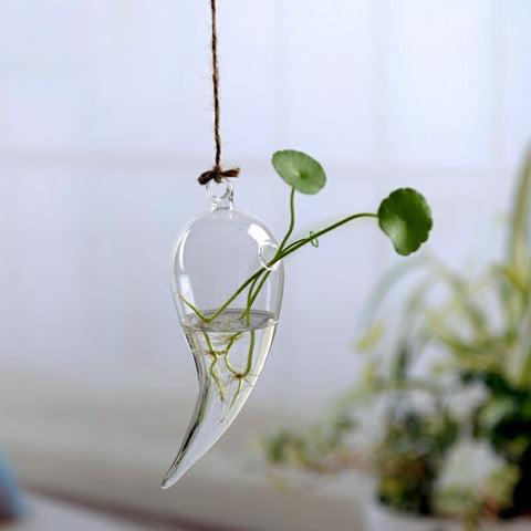 Vase suspendu en verre transparent simple, petite bouteille suspendue hydroponique