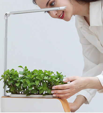 Jardinière hydroponique en ABS, résistante à la déformation, avec ventilation, pour jardin, patio, légumes de printemps