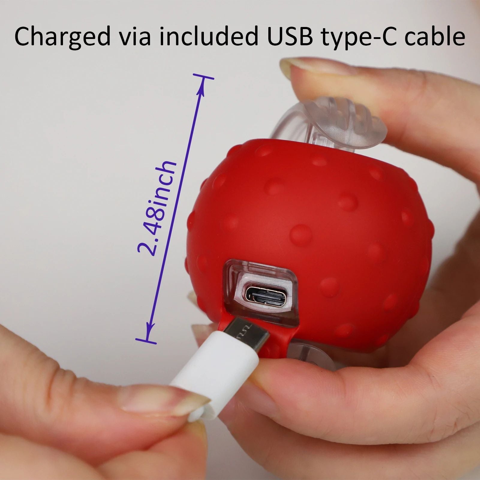 New Cat Rolling Ball Bird Chirping Interactive Cats Pets Toys Mot Pet Products - Fashionner