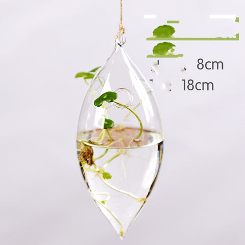 Vase suspendu en verre transparent simple, petite bouteille suspendue hydroponique