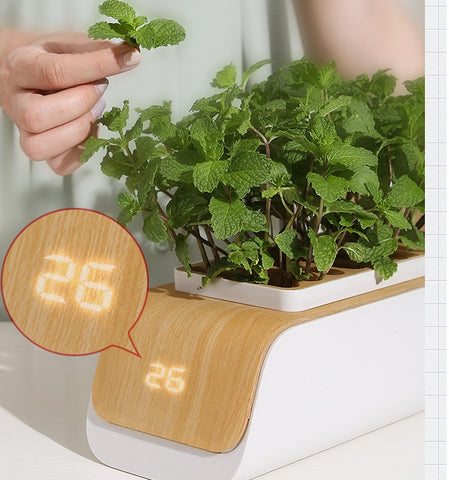 Jardinière hydroponique en ABS, résistante à la déformation, avec ventilation, pour jardin, patio, légumes de printemps
