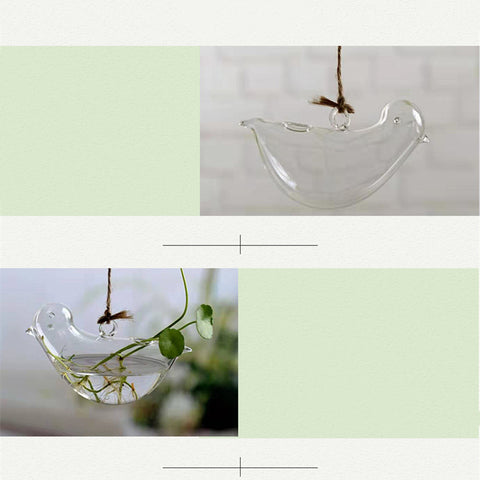 Aneth vert hydroponique et herbe à monnaie chinoise, verrerie mignonne avec oiseau