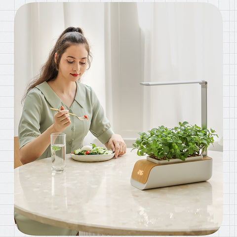 Jardinière hydroponique en ABS, résistante à la déformation, avec ventilation, pour jardin, patio, légumes de printemps