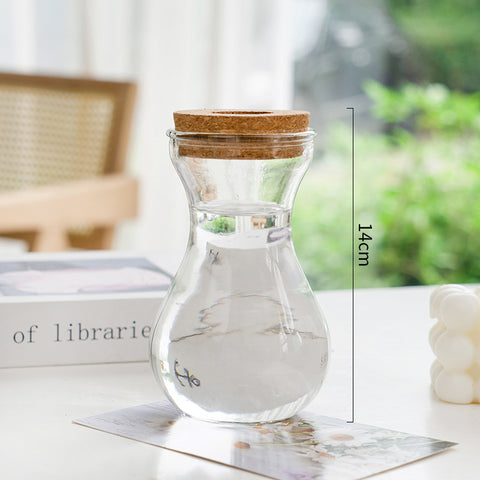 Vase en verre pour plantes hydroponiques, transparent, simple et créatif