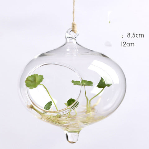 Vase suspendu en verre transparent simple, petite bouteille suspendue hydroponique