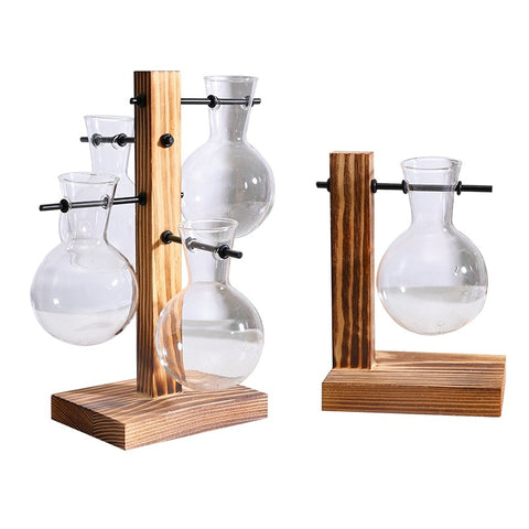 Vase décoratif en verre transparent pour plantes hydroponiques créatives