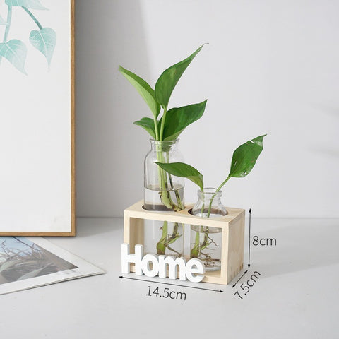 Vase en verre simple et frais pour hydroponie