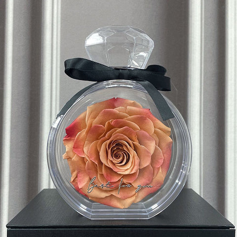Ornements naturels de fleurs éternelles Housse transparente Boîte cadeau de roses séchées pour Noël Nouvel An Saint-Valentin Décoration intérieure