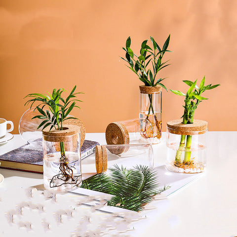 Vase hydroponique en verre, fait main, créatif et minimaliste
