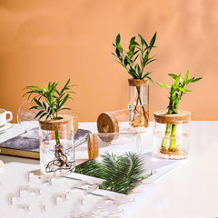Creative Minimalist Handmade Hydroponic Glass Vase