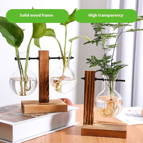 Vase décoratif en verre transparent pour plantes hydroponiques créatives