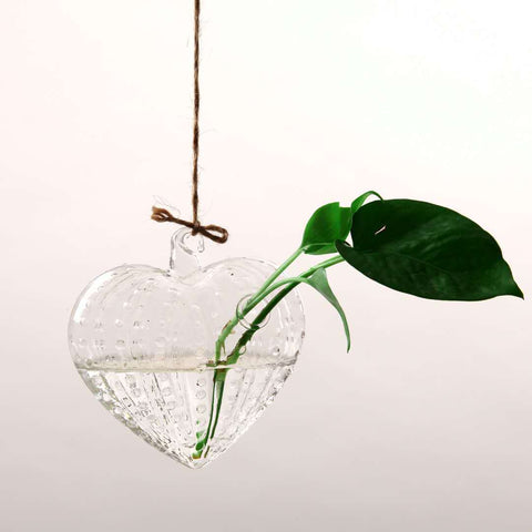 Vase suspendu en verre transparent simple, petite bouteille suspendue hydroponique