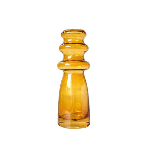 Vase en Verre Transparent avec Fleurs Séchées et Décoration Hydroponique