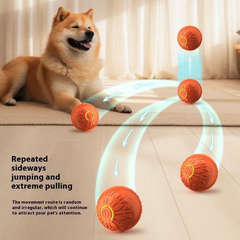 Balle rebondissante électrique pour animaux de compagnie, taquinerie automatique pour chiens, produits lumineux pour animaux de compagnie